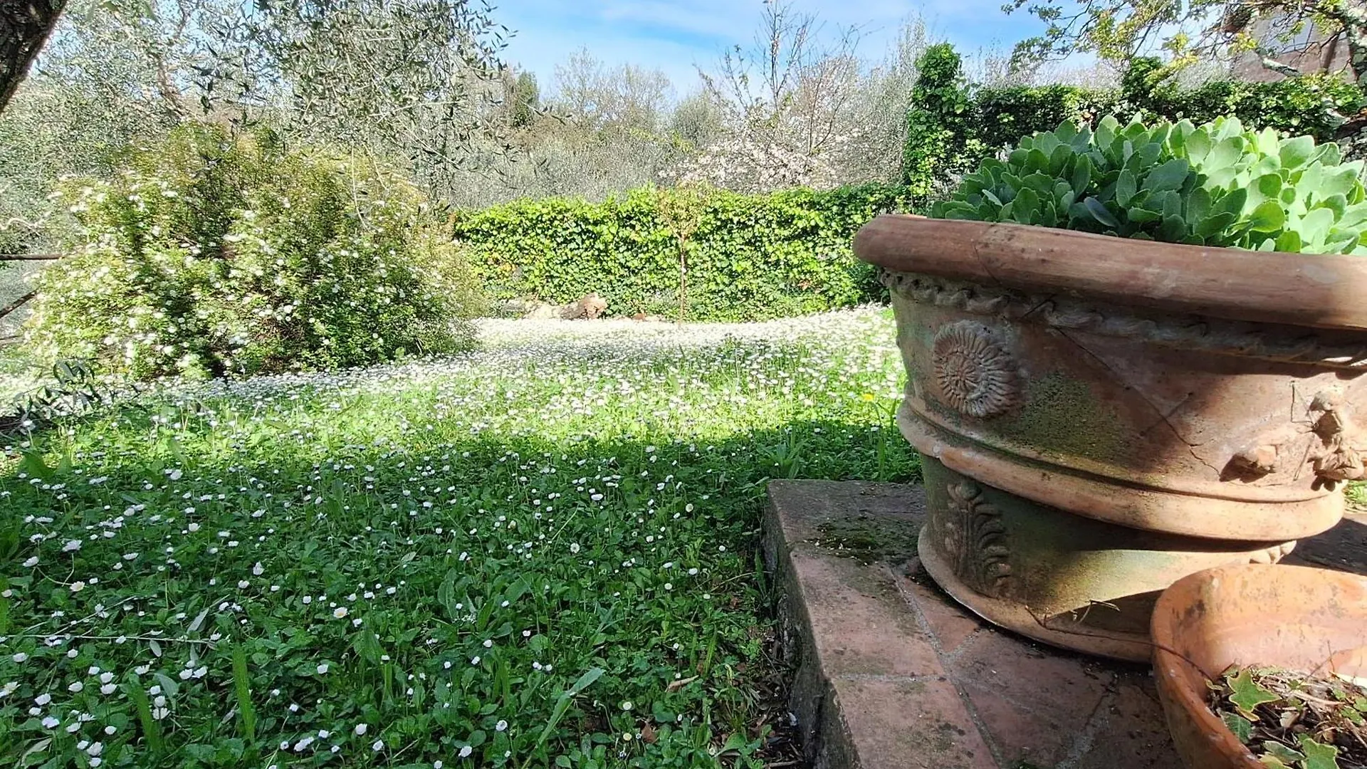 Dimora Nel Chianti Guest House San Sano 0*,