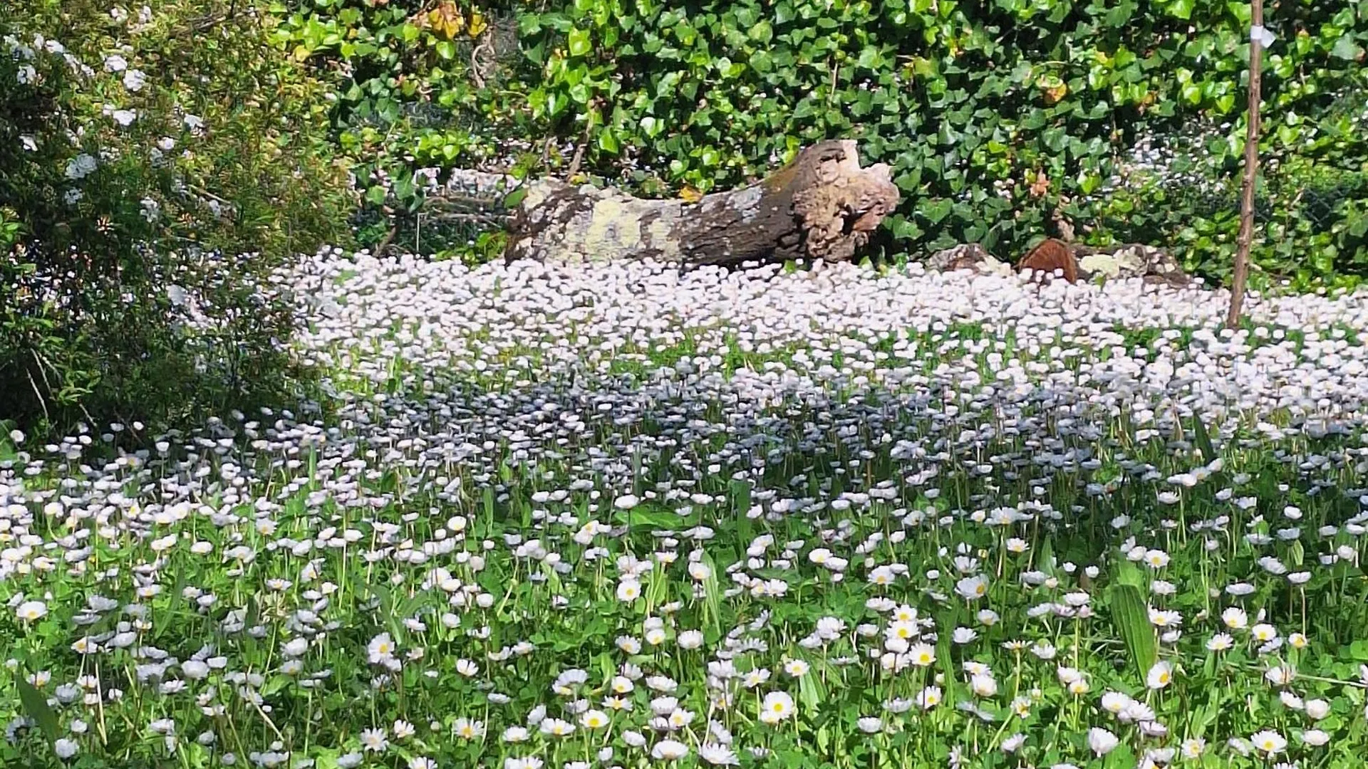 Dimora Nel Chianti Guest House San Sano Country house