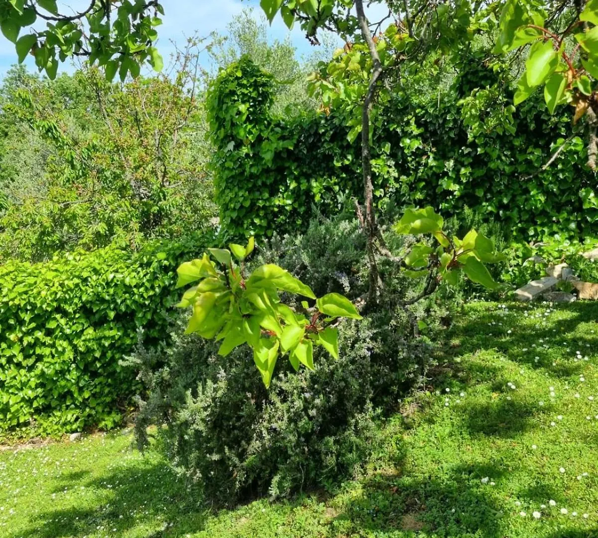 Dimora Nel Chianti Guest House San Sano Italy