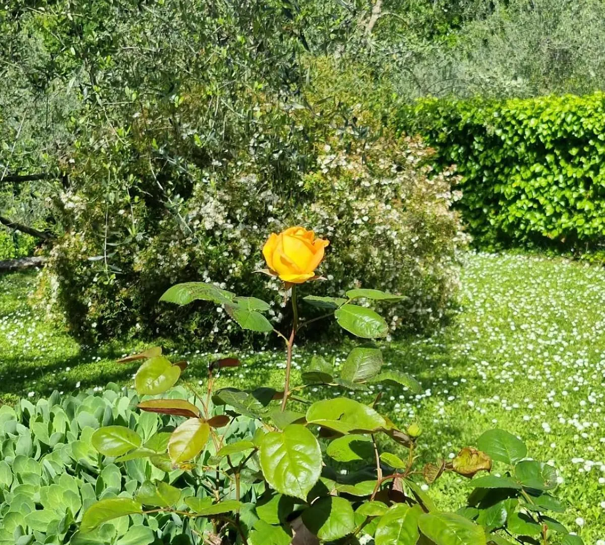 Country house Dimora Nel Chianti Guest House San Sano