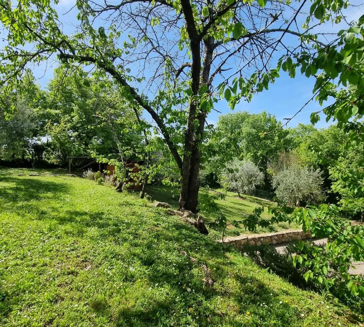 Dimora Nel Chianti Guest House San Sano