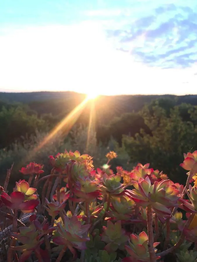 Country house Dimora Nel Chianti Guest House San Sano